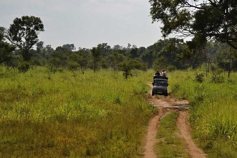Bentota: 2-Day Private Tour Wild; Wonders And Galle Fort - Yala safari: the main reason to choose this route