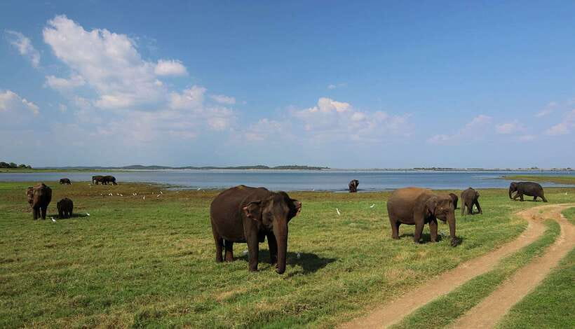 Bentota: 2-Day Private Tour Wild; Wonders And Galle Fort - Day 1 begins before sunrise in Bentota