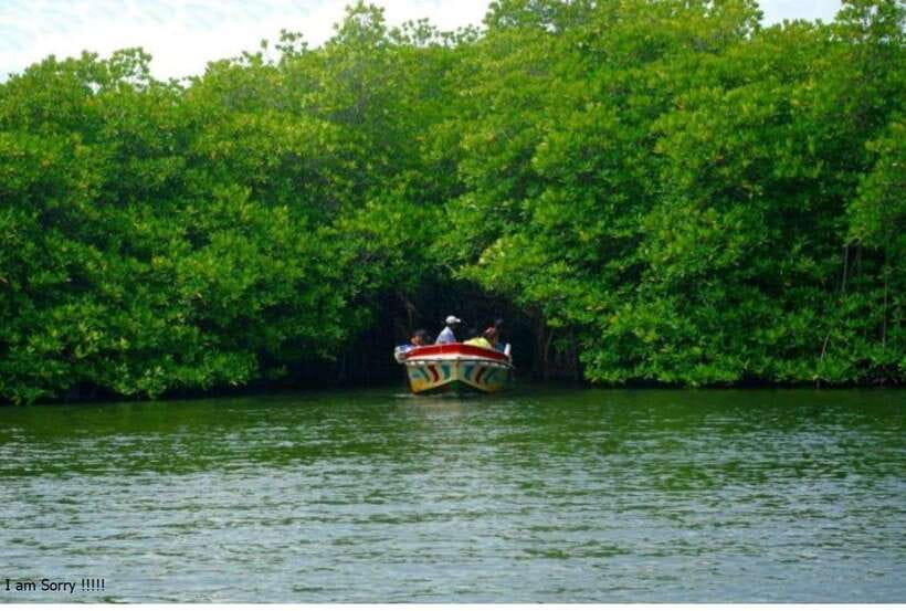 Bentota: All Inclusive Galle Dutch Fort & Madu River Safari - Timing, food, and what to bring