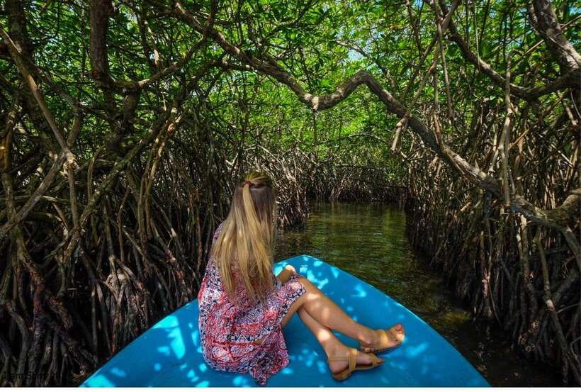 Bentota: All Inclusive Galle Dutch Fort & Madu River Safari - Who will like this tour most?