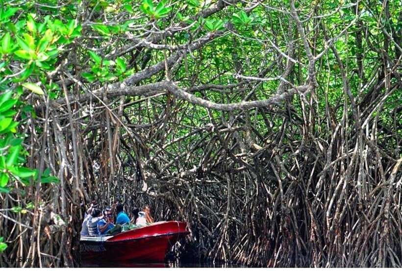 Bentota: All Inclusive Galle Dutch Fort & Madu River Safari - Should you book the Galle, Madu River, and turtle tour?
