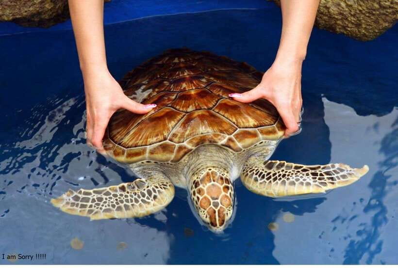 Bentota: All Inclusive Galle Dutch Fort & Madu River Safari - The early drive from the southwest coast