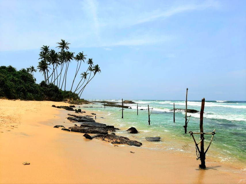 Bentota beach, River Mangroves lagoon, Wildlife Tour - Learning about plants in the herbal garden