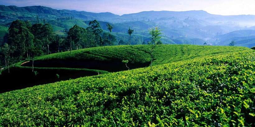 Bentota/Kalutara/Hikkaduwa/Galle/Mirissa: Day Trip to Ella - Ravana Falls and the first mountain views