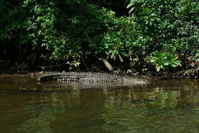 Bentota River Boat Safari with Private Boat Beruwala/Bentota/Kosgoda/Ahungalla - Why the Bentota River is worth your morning or afternoon