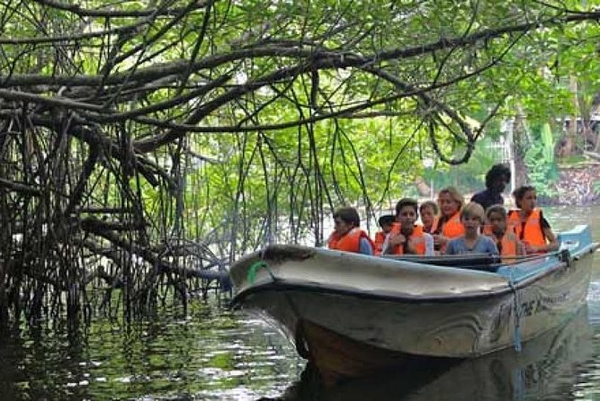 Bentota River Boat Safari with Private Boat Beruwala/Bentota/Kosgoda/Ahungalla - Who will enjoy this river safari most?