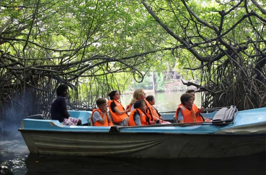 Bentota River Safari -Ahungalla/Bentota/Aluthgama/Kosgoda - Key points to know before booking