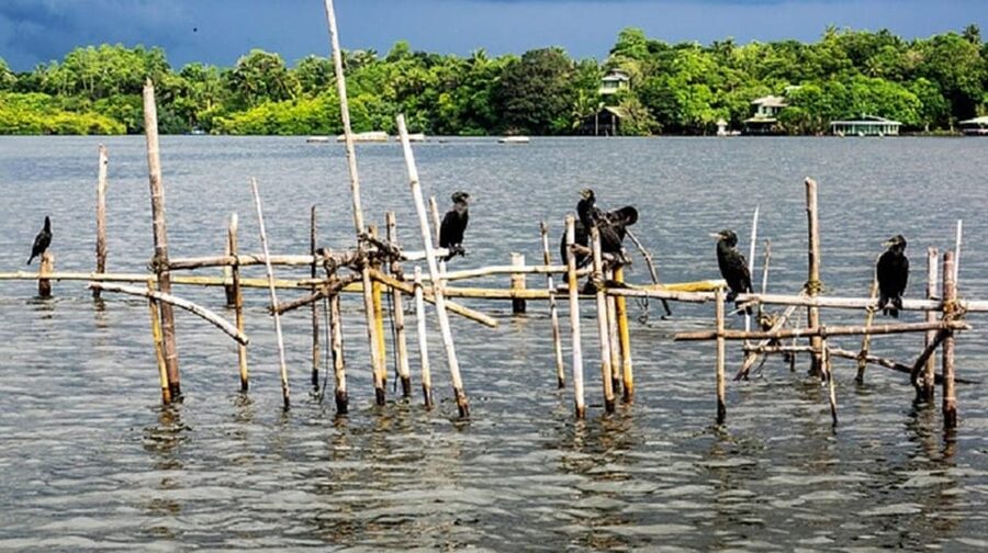 Bentota River Safari -Ahungalla/Bentota/Aluthgama/Kosgoda - The 90-minute timing concern