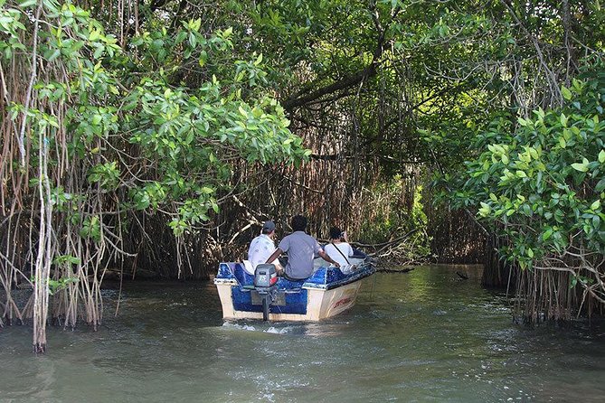 Bentota River Safari By BTM (Mangrove & Wildlife Encounter) - Why the guide can make or break the outing