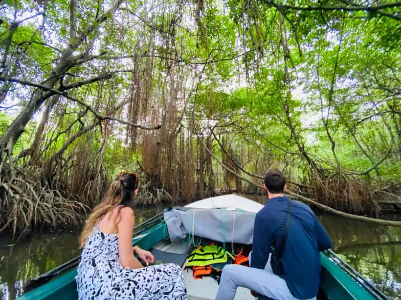 Bentota River Safari: Discover Wildlife & Mangroves by Boat - What You Might See Along the Banks