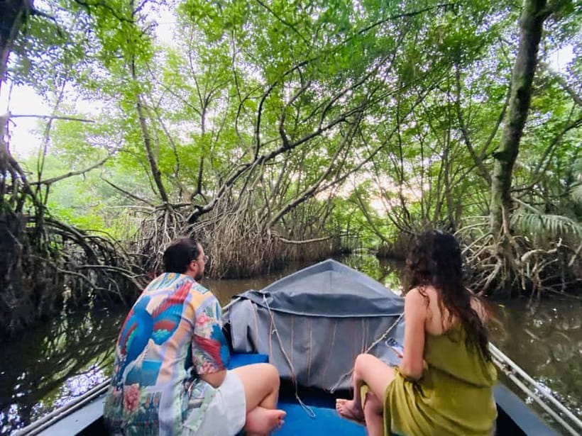Bentota River Safari: Discover Wildlife & Mangroves by Boat - A Calm Ride With a Few Human Touches