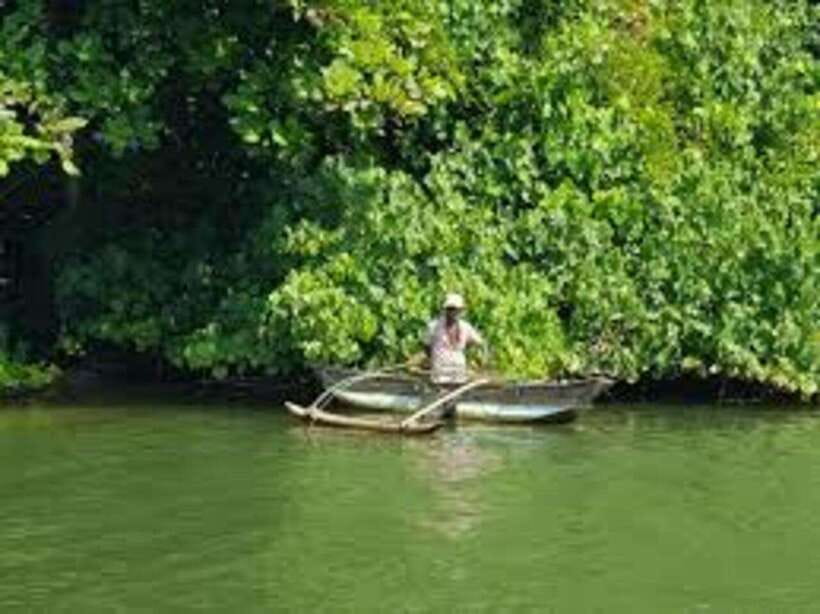 Bentota: River Safari with Hotel Pickup and Drop-Off - Wildlife sightings: what you might actually see