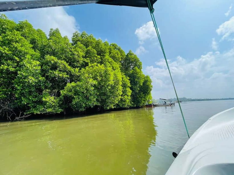 Bentota: River Safari with Hotel Pickup and Drop-Off - What $28 gets you