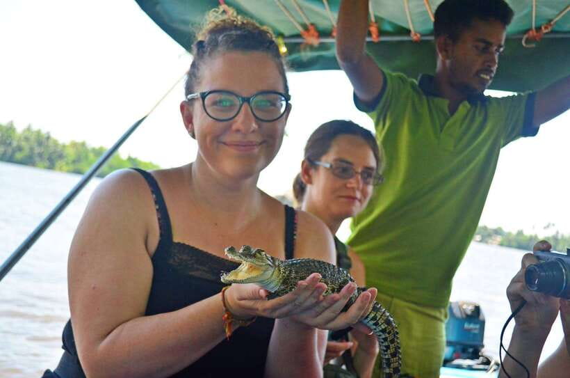 Bentota River Safari with Mangrove and Wildlife Encounter - Starting Near Bentota Bridge
