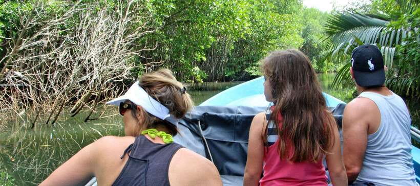 Bentota River Safari with Mangrove and Wildlife Encounter - Who Will Enjoy This Boat Ride Most?