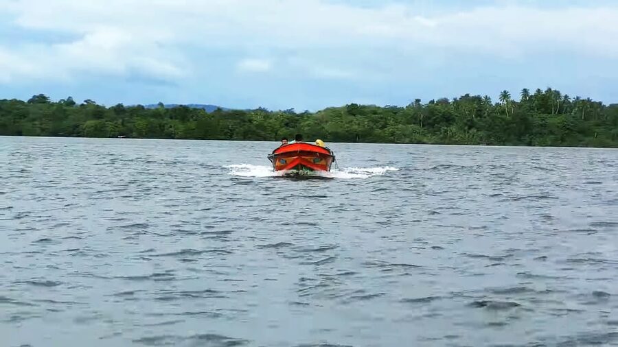 Bentota: swampboat Ride Through Mangrove Forest - Is $30 per person fair value?