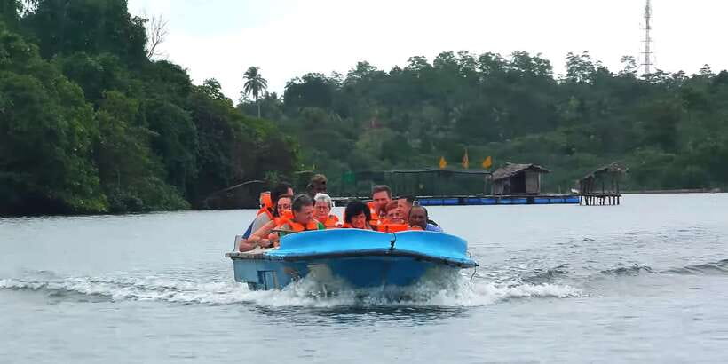 Bentota: swampboat Ride Through Mangrove Forest - Starting at Bentota Bridge near the Buddha statue