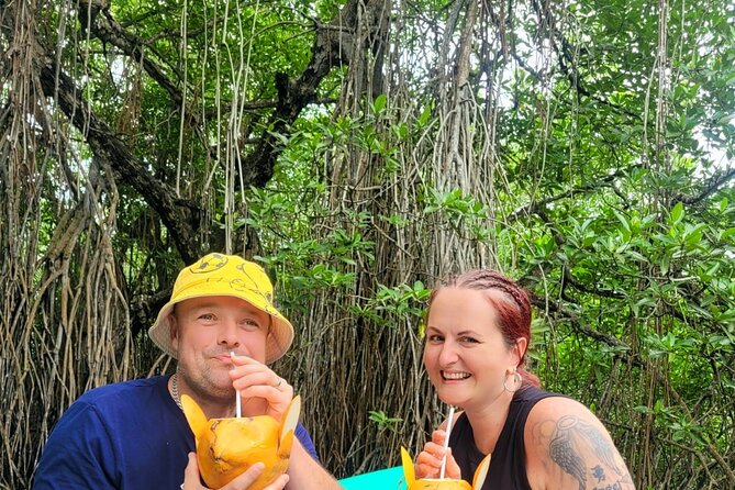 Bentota Village Tour with River Safari & Tea Plantation/Factory - All Inclusive - Turtle Conservation and the Smaller Local Stops