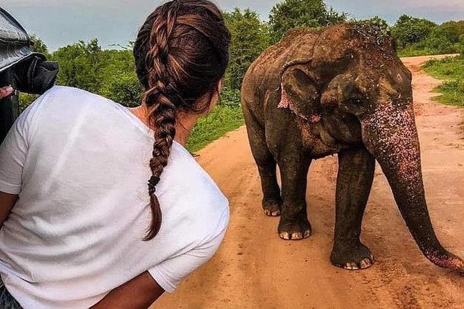 Best Of Sri lanka Tour (06 Days 05 Nights) - Kandy- N.Eliya -Bentota-Colombo - Six details that shape the experience