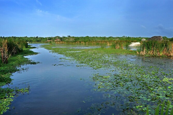 Birdwatching by Boat at Kalametiya Sanctuary - Who will enjoy this experience most?