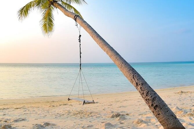 Budget Tours Sri Lanka with 7 Nights accommodation - Day 5: Nine Arches Bridge and a Yala Safari