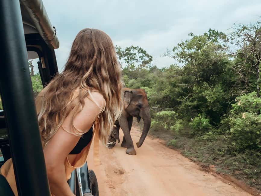 Budget Yala Safari with Accomadation & Meals Included - Key points to know before booking