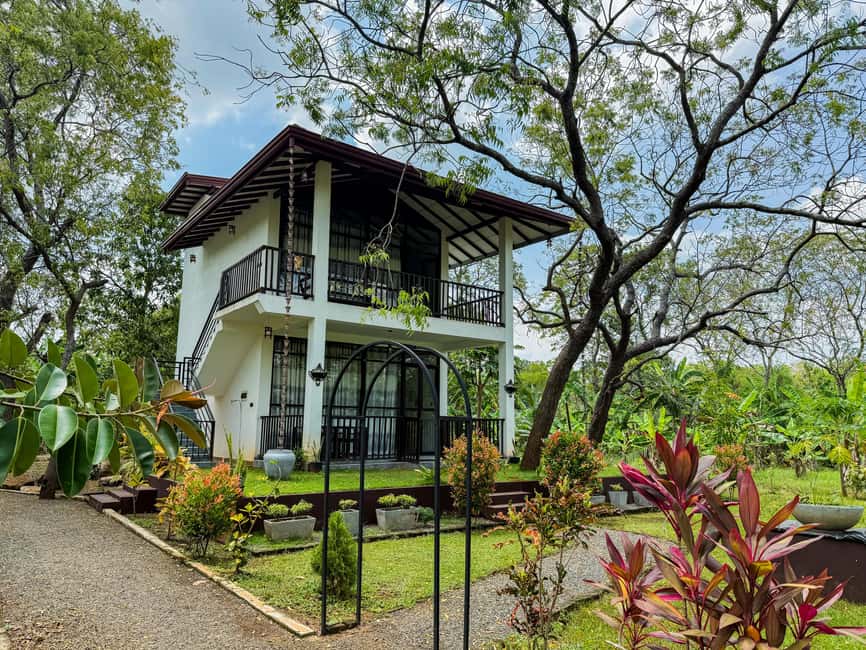 Budget Yala Safari with Accomadation & Meals Included - Why this $25 Yala package offers real value