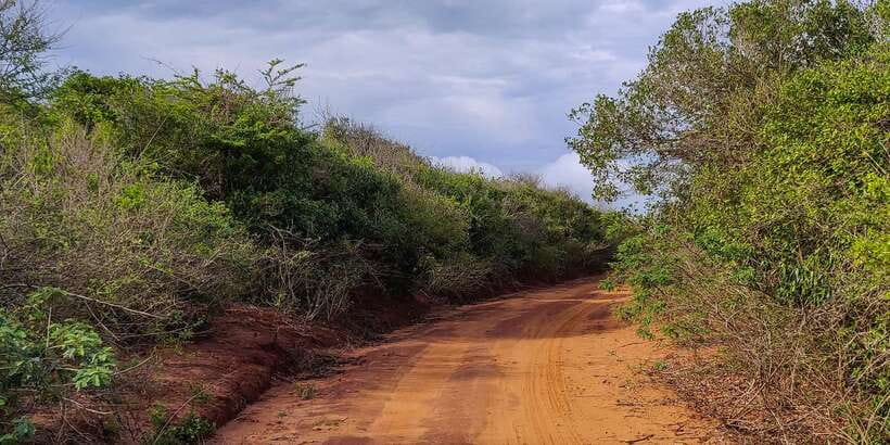 Bundala National Park: 3-Hour Morning or Evening Safari - Key points about the Bundala safari