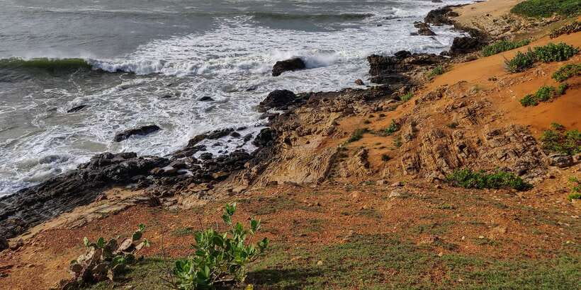 Bundala National Park: 3-Hour Morning or Evening Safari - Should you book Bundala National Park?