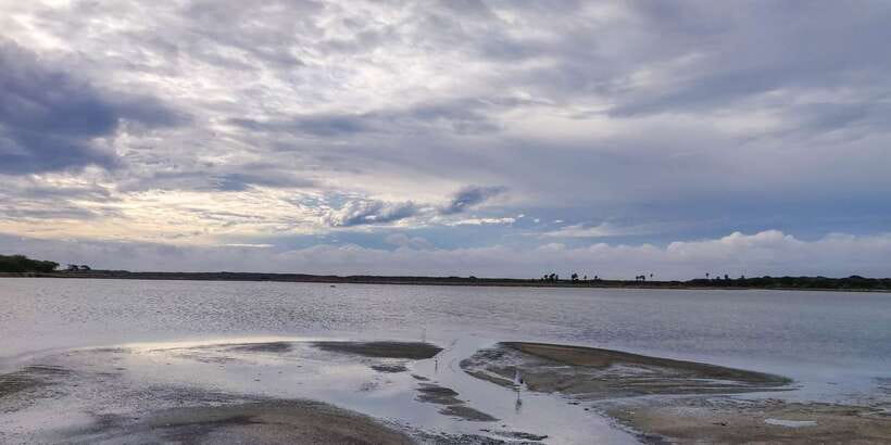 Bundala National Park: 3-Hour Morning or Evening Safari - What you may see among the scrub and dunes