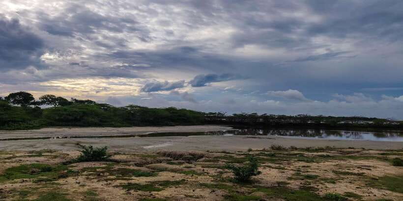 Bundala National Park: 3-Hour Morning or Evening Safari - Who will enjoy this safari most