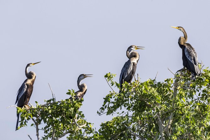 Bundala National Park Private Safari - What the three-hour safari is really like