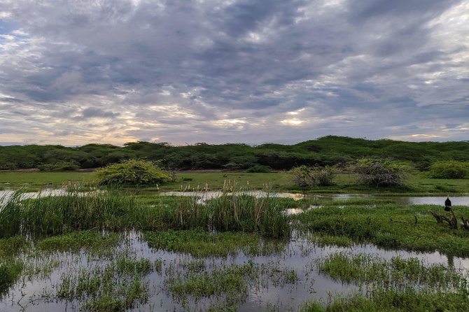 Bundala National Park Private Safari - Wildlife beyond the birds
