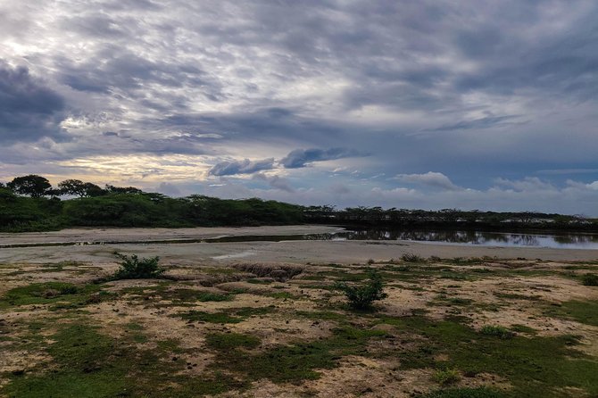 Bundala National Park Private Safari - Is $42 good value?