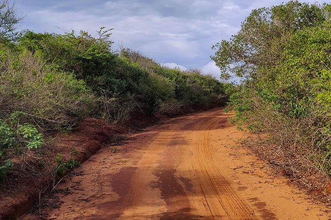 Bundala National Park Private Safari - Who will enjoy this safari most