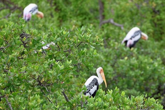 Bundala National Park Private Safari - The short drive into the park