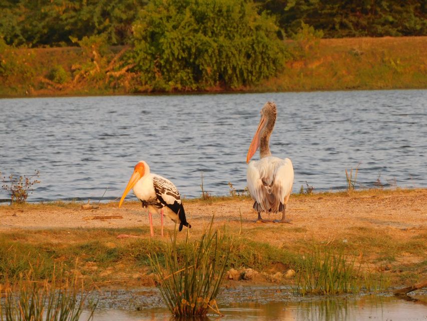 Bundala National Park Safari (PRIVATE TOURS) - Who should book this Bundala safari