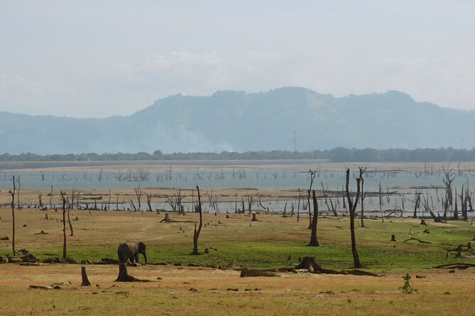 Bundala National Park : Safari Tour with Entrance tickets & Jeep - The jeep, guide, and included extras