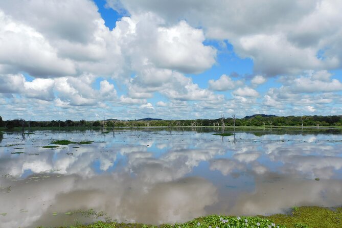 Bundala National Park : Safari Tour with Entrance tickets & Jeep - Who will enjoy this safari most?