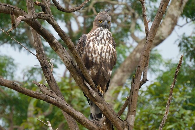 Bundala National Park : Safari Tour with Entrance tickets & Jeep - What the five-hour route gives you