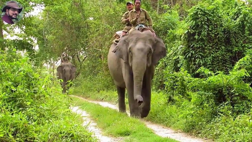 City Tour: Discover Aluthgama with Thrilling Adventures - Key points at a glance