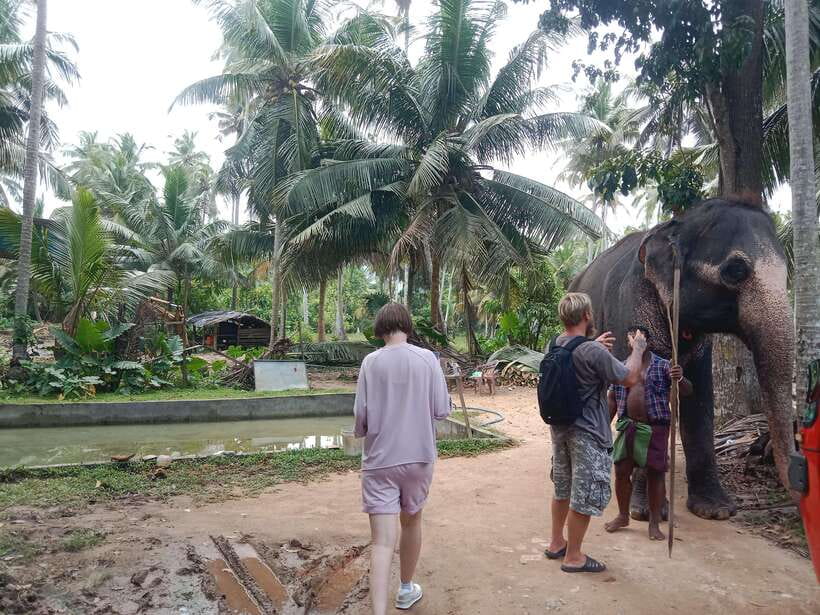 City Tour: Discover Aluthgama with Thrilling Adventures - Kosgoda Sea Turtle Conservation Project