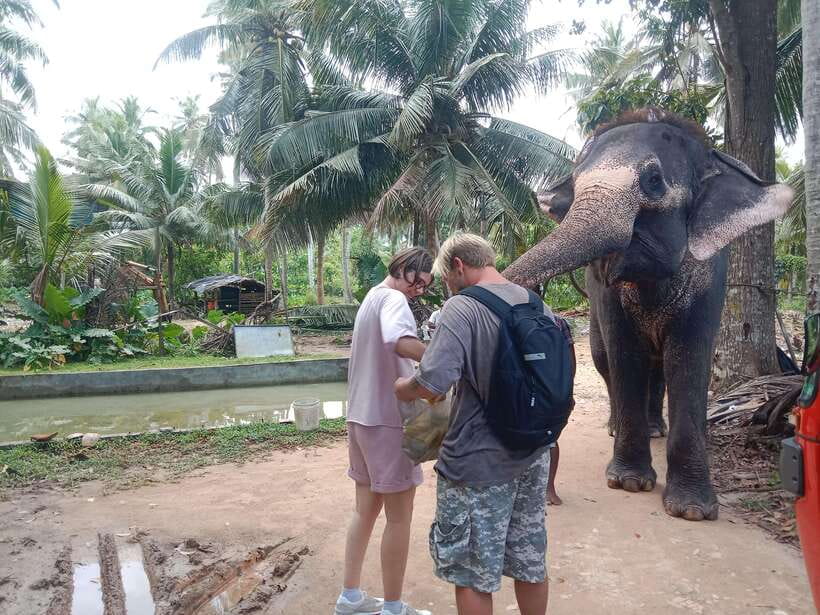 City Tour: Discover Aluthgama with Thrilling Adventures - Brief Garden and Bevis Bawa’s creative world