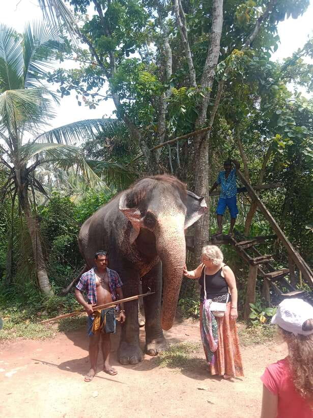 City Tour: Discover Aluthgama with Thrilling Adventures - Water sports from banana rides to paramotoring