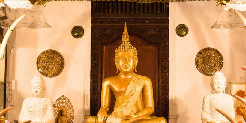 Colombo: 2-Day Cultural Highlights & Heritage Sites Tour - Peradeniya and Ceylon tea soften the hard schedule