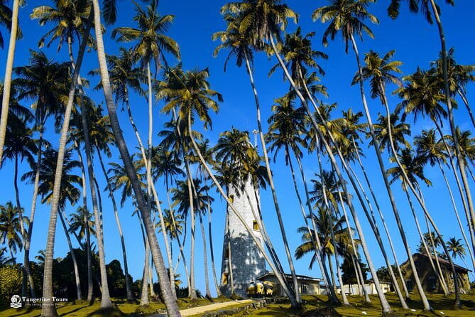 Colombo City Tour By Tuk Tuk (Include Lunch)Morning & Evening - Pettah and the Red Mosque show everyday Colombo