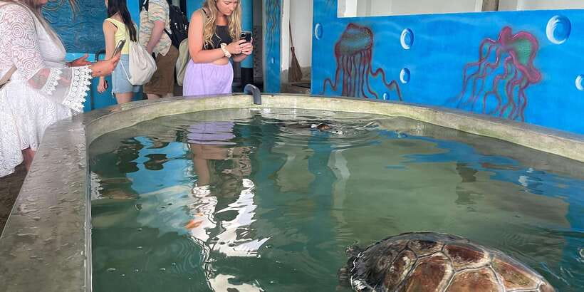 Colombo Cruise port: Galle, Turtle Hatchery & River Safari - A long but varied day from Colombo port