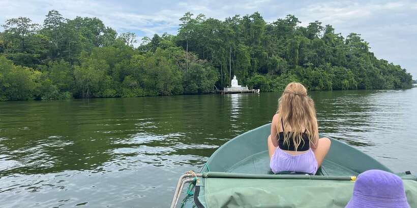 Colombo Cruise port: Galle, Turtle Hatchery & River Safari - Madu River safari: two hours among mangroves