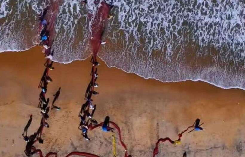Colombo-Galle Fort, Boat Safari, Turtles, Amazing Group Tour - What this Colombo to Galle day trip is really like