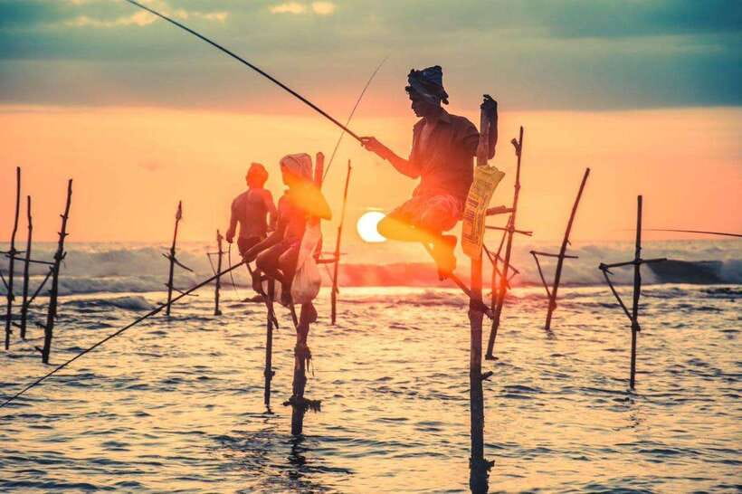 Colombo-Galle Fort, Boat Safari, Turtles, Amazing Group Tour - Madu Ganga boat safari through mangroves